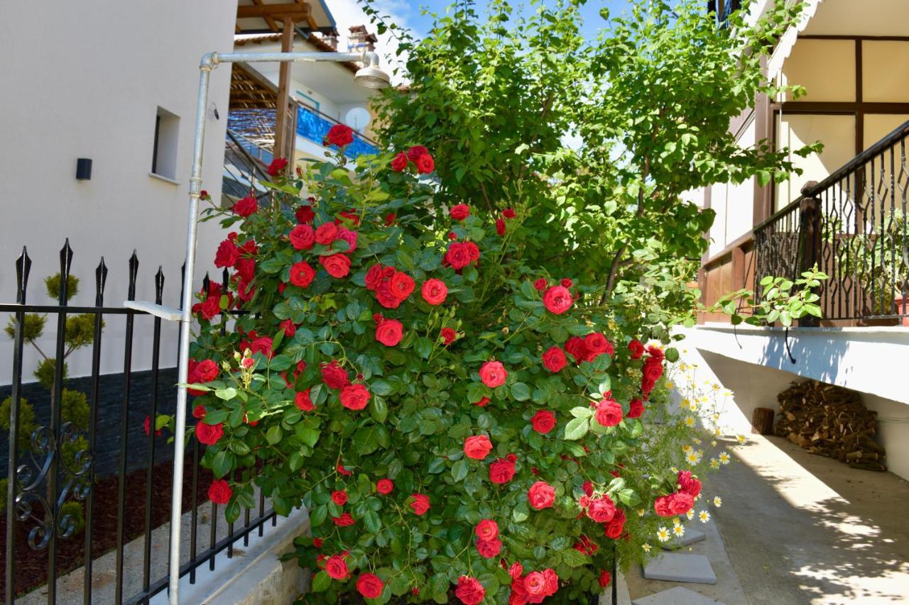 Petros House Apartment Nikiti  Exterior foto
